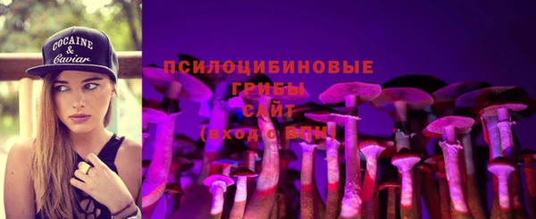 синтетический гашиш Богородск
