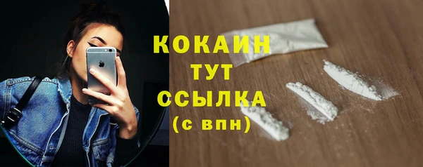 стафф Богданович