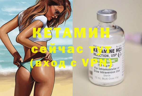 стафф Богданович