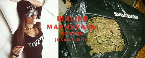 стафф Богданович