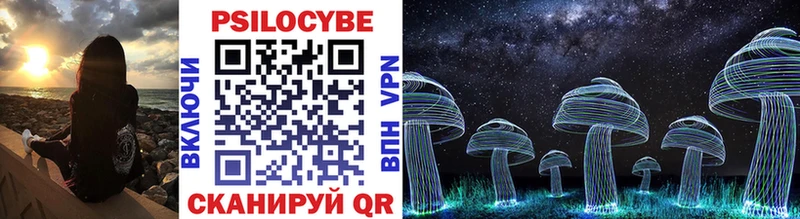 Псилоцибиновые грибы Psilocybe  Санкт-Петербург 