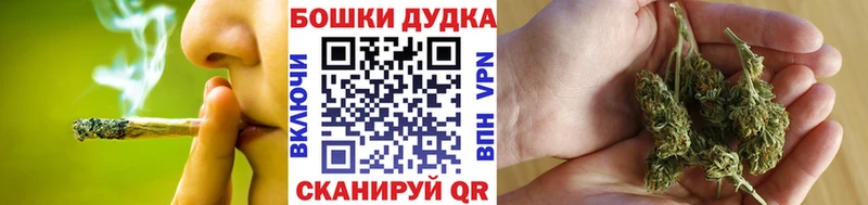 где купить наркоту  Санкт-Петербург  Шишки марихуана семена 